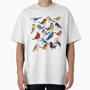 North American Birds